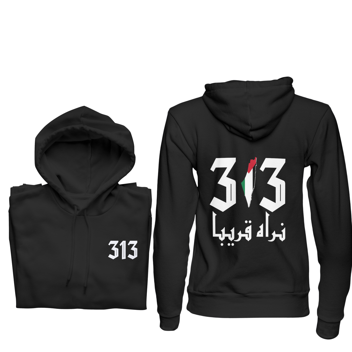 313 Palestine Hoodie