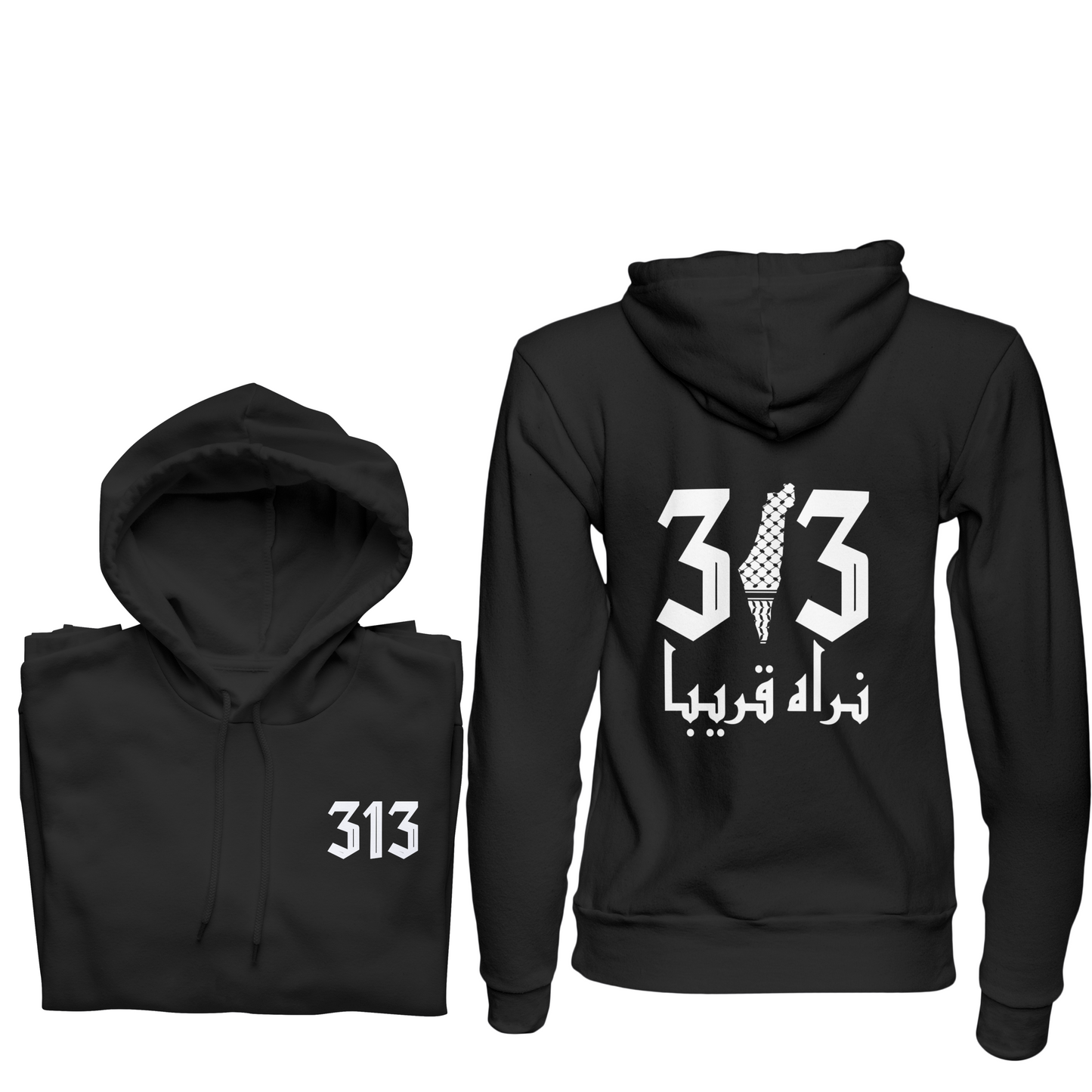 313 Palestine Hoodie