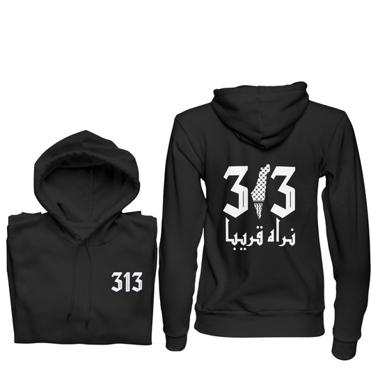 313 Palestine Hoodie